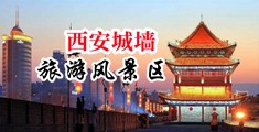 国产操逼免费下载中国陕西-西安城墙旅游风景区